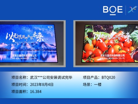 臨沂武漢***公司安裝調(diào)試完畢