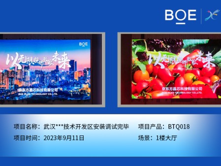 臨沂武漢**技術(shù)開發(fā)區(qū)1樓大廳BTQ018安裝調(diào)試完畢