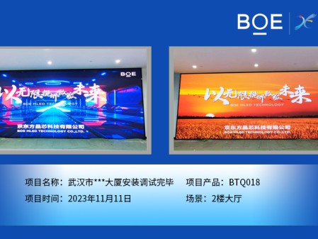 涼山武漢市***大廈2樓大廳BTQ018安裝調試完畢