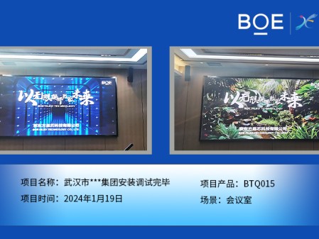 畢節(jié)武漢市**集團會議室BTQ015安裝調(diào)試完畢