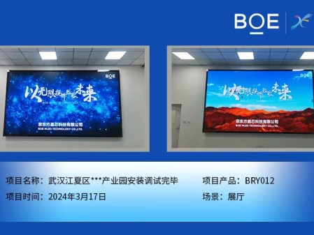 畢節(jié)武漢江夏區(qū)**產(chǎn)業(yè)園展廳BRY012安裝調(diào)試完畢