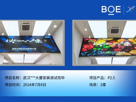 嘉興武漢***大廈安裝調(diào)試完畢