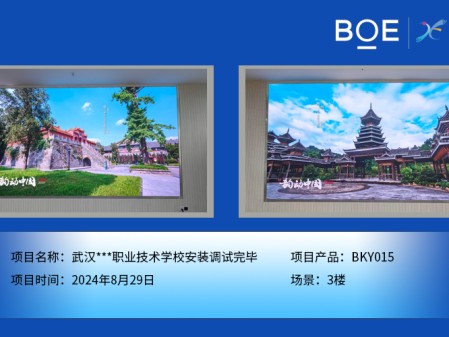 北海武漢***職業(yè)技術學校安裝調試完畢