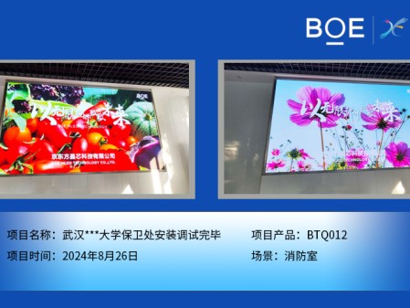 深圳武漢***大學(xué)保衛(wèi)處安裝調(diào)試完畢