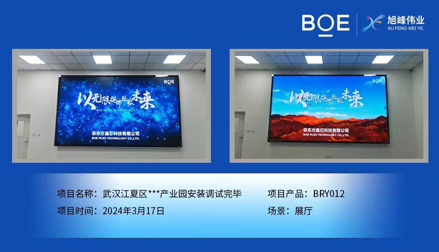 西藏武漢江夏區(qū)**產(chǎn)業(yè)園展廳BRY012安裝調(diào)試完畢
